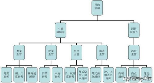 酒店管理職業規劃 立足行業現狀，洞悉組織脈絡