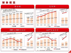 高鑫零售2024上半年業績解讀 營收穩健增長，日用百貨銷售成亮點